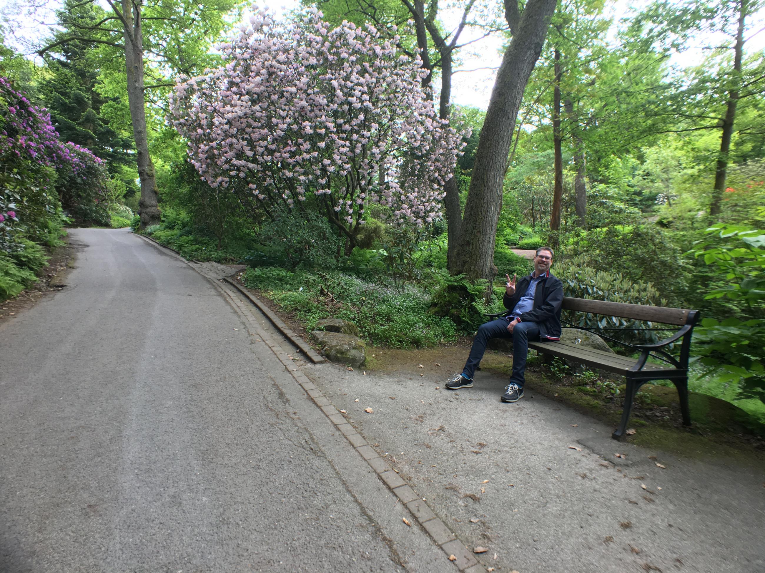 Parkbänk i Rhododendrondalen